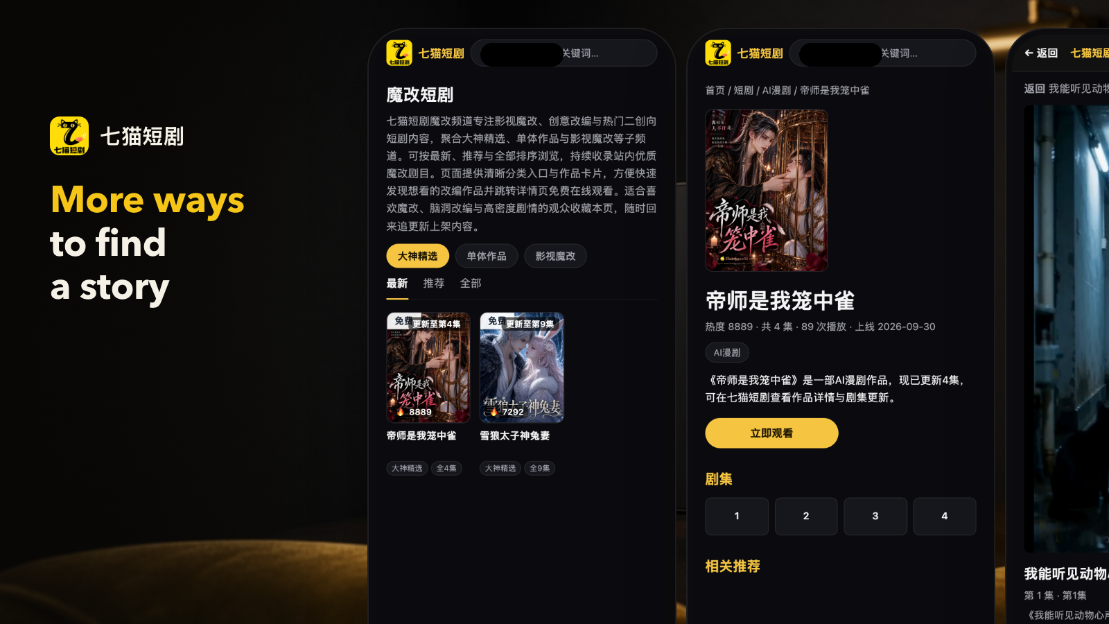 Application preview